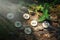 On the trunk of a tree, covered with ivy, are wooden Scandinavian runes. Mystic light. The concept of divination and esotericism.