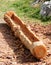 trunk of a tree hollowed out by the craftsman to create a natura