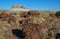 The trunks of petrified trees, multi-colored crystals of minerals. Petrified Forest National Park, Arizona