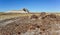 The trunks of petrified trees, multi-colored crystals of minerals. Petrified Forest National Park, Arizona