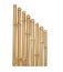 The trunks of various thicknesses of dry bamboo isolated on whit
