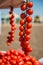 Trusses of tomatoes with field background