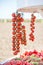 Trusses of tomatoes with field background