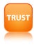 Trust special orange square button