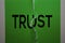 Trust Text on Green paper background with crack in the middle