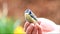 Trust, wild bird blue tit in male hand