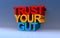 trust your gut on blue