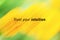 Trust your intuition. Inspirational motivational words on abstract yellow green background. Follow your heart concept.