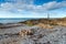 Trwyn Du Lighthouse in Wales