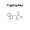 Tryptophan amino acid. Chemical molecular formula of tryptophan amino acid. Vector illustration on isolated background