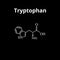 Tryptophan amino acid. Chemical molecular formula of tryptophan amino acid. Vector illustration on isolated background