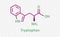 Tryptophan chemical formula. Tryptophan structural chemical formula isolated on transparent background.