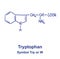 Tryptophan chemical structure. Vector illustration Hand drawn.