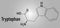 Tryptophan or l-tryptophan, Trp, W amino acid molecule. Skeletal formula.