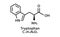 Tryptophan molecular structure. Tryptophan skeletal chemical formula. Chemical molecular formula vector illustration