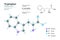 Tryptophan. Trp C11H12N2O2. Î±-Amino Acid. Structural Chemical Formula and Molecule 3d Model. Atoms with Color Coding. Vector