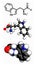 Tryptophan (Trp, W) amino acid, molecular model