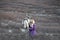 Tsaatan woman milking a reindeer