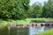 Tsarskoye Selo (Pushkin). Saint-Petersburg. Russia. Cascade Bridge