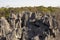 Tsingy bizarre limestone cliffs, reserve Ankarafantsika, Madagascar