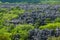 Tsingy de Bemaraha. Typical landscape. Madagascar.