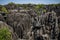 Tsingy, karst limestone formation, Melaky Region, Madagascar