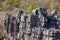 Tsingy rock formations in Ankarana, Madagascar