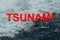 Tsunami, tidal wave, seismic sea wave,