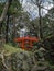 Tsutenkyo Bridge in Koishikawa Korakuen Garden