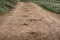 Ttrace of the hoof of the horse on the sandy road in the woods