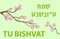 Tu Bishvat greeting card, poster. Jewish holiday, new year of trees. Blooming tree. Vector illustration.