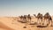 Tuareg with camels walk thru the desert.