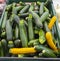 Tub of green and yellow Zucchini for sale at the local farmerâ€™s market