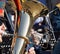 Tuba and military brass band musician