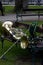 Tuba traditional brass music instrument