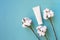 Tube container with copy space on blue background with dried cotton flower heads on three twigs.