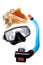 Tube for diving (snorkel), big sea shell and mask