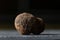 Tuber melanosporum, called the black truffle, PÃ©rigord truffle or French black truffle