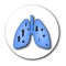 Tuberculosis. The emblem of World Tuberculosis Day. March 24. Medicines, tablets, capsules. The structure of the lungs.