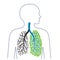 Tuberculosis. Lung disease. Lungs cancer. Promotion of healthy lifestyles. Medicine, health and ecology. Vector