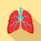 Tuberculosis lungs icon, flat style