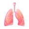 Tuberculosis. Vector illustration of lung