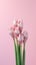 Tuberose flower blurred background