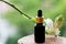 Tuberose flowers branch and essential oil on nature background