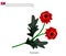 Tuberous Begonia Flower or Kimjongilia Flower of North Korea