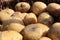 Tubers of vegetables potatoes white yellow in the sand close up background food