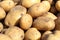 Tubers of vegetables potatoes white yellow in the sand close up background food
