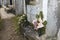 Tubigon, Bohol, Philippines - Flowers laid at a tomb during All Souls Day at a public cemetery