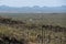 Tucson Mountain Park, overlooking Old Tucson