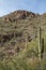 Tucson\'s Sabino Canyon